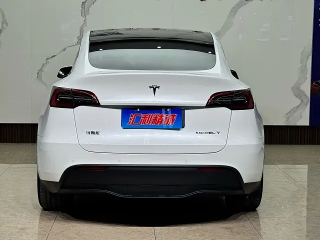 Tesla Model Y — Фото автомобиля 5