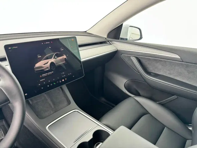 Tesla Model Y — Фото автомобиля 5