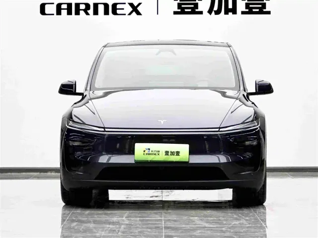 Tesla Model Y — Фото автомобиля 2