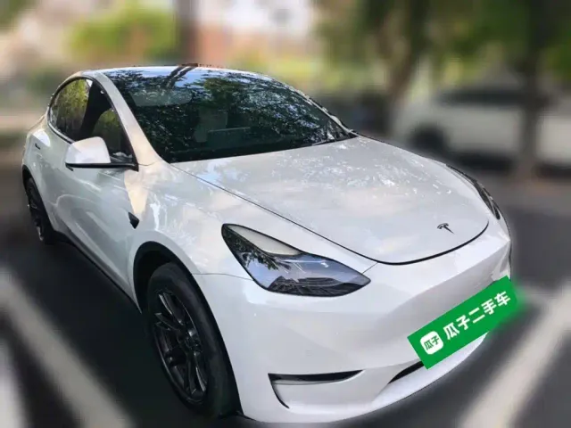 Tesla Model Y — Фото автомобиля 23