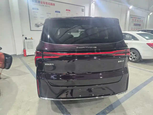 Forthing Xinghai V9 — Фото автомобиля 6