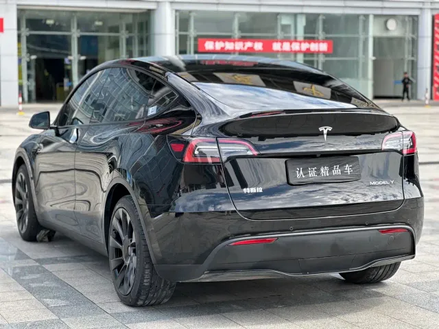Tesla Model Y — Фото автомобиля 6