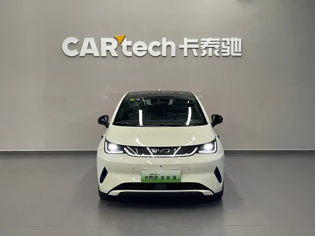 BYD Dolphin — Фото автомобиля 2