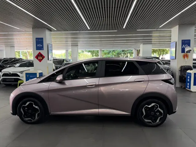 BYD Dolphin — Фото автомобиля 11