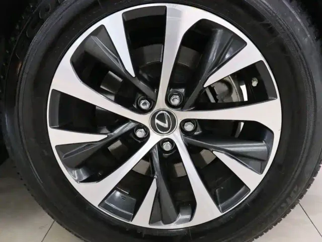 Lexus RX — Фото автомобиля 19
