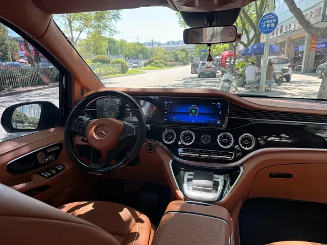 Mansory V-Class — Фото автомобиля 19