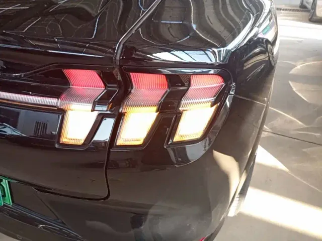 Ford Mustang Mach-E — Фото автомобиля 7