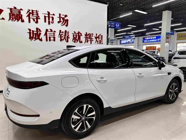 BYD Qin PLUS — Фото автомобиля 6