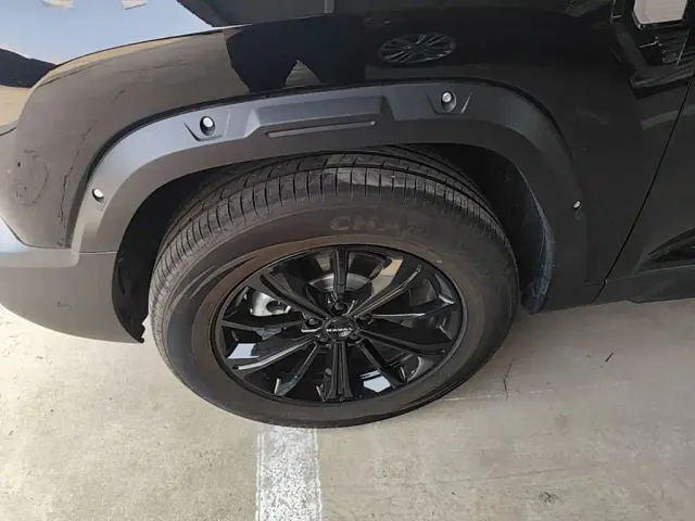 Haval Raptor — Фото автомобиля 22