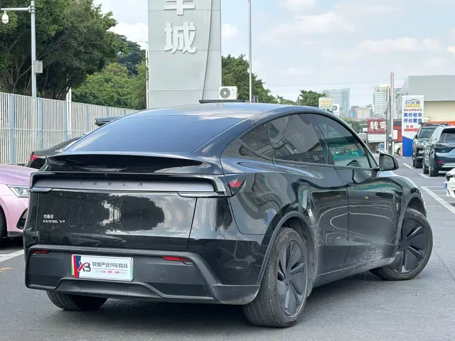 Tesla Model Y — Фото автомобиля 6