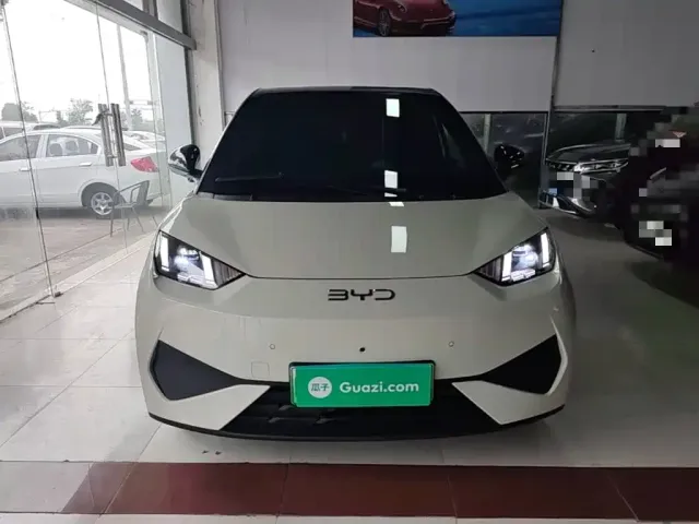 BYD Seagull 2025 Smart Drive Edition 305km Freedom Version — Фото автомобиля 2