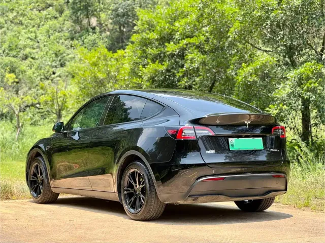 Tesla Model Y — Фото автомобиля 4