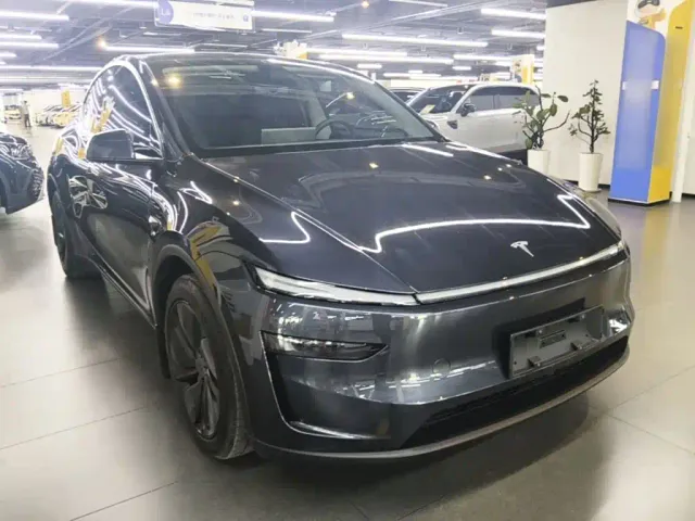 Tesla Model Y — Фото автомобиля 3