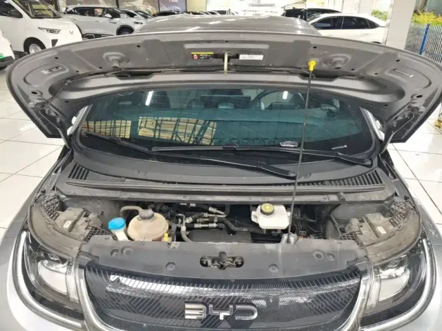 BYD Dolphin — Фото автомобиля 19