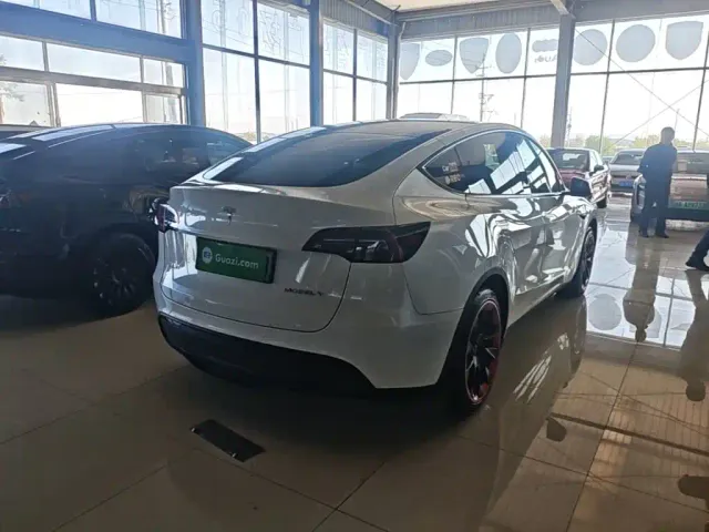 Tesla Model Y — Фото автомобиля 6