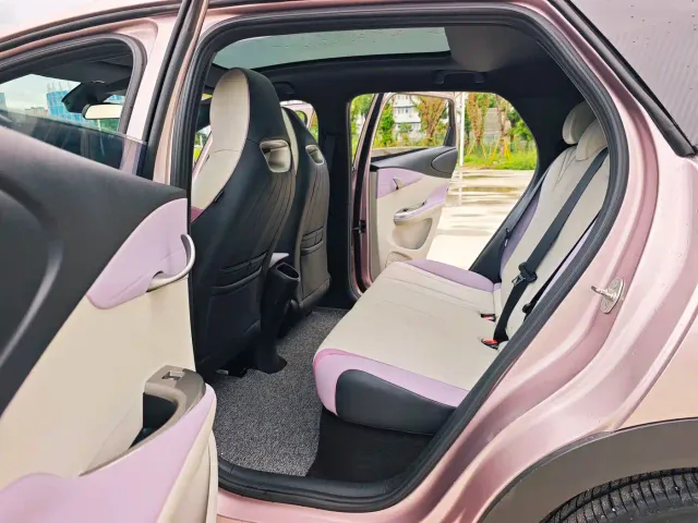 BYD Dolphin — Фото автомобиля 14
