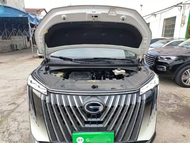 GAC Trumpchi M8 — Фото автомобиля 19
