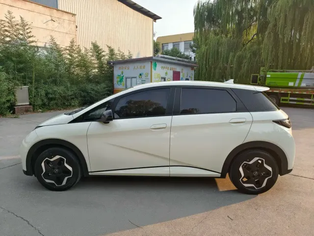 BYD Dolphin — Фото автомобиля 5