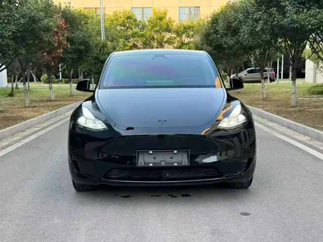Tesla Model Y — Фото автомобиля 2