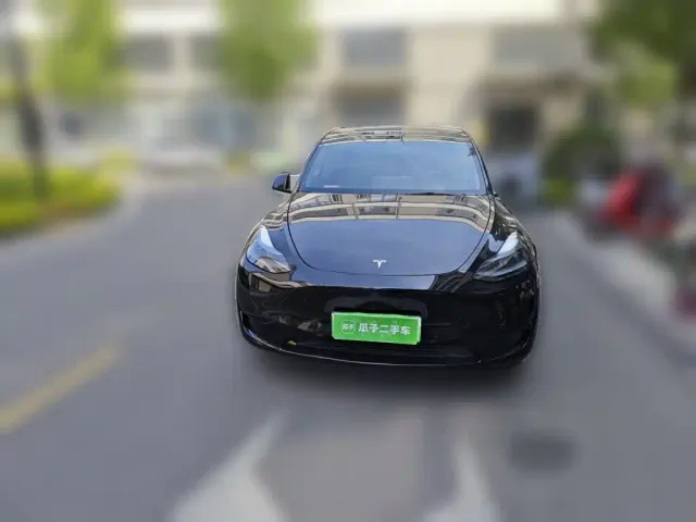 Tesla Model Y — Фото автомобиля 2