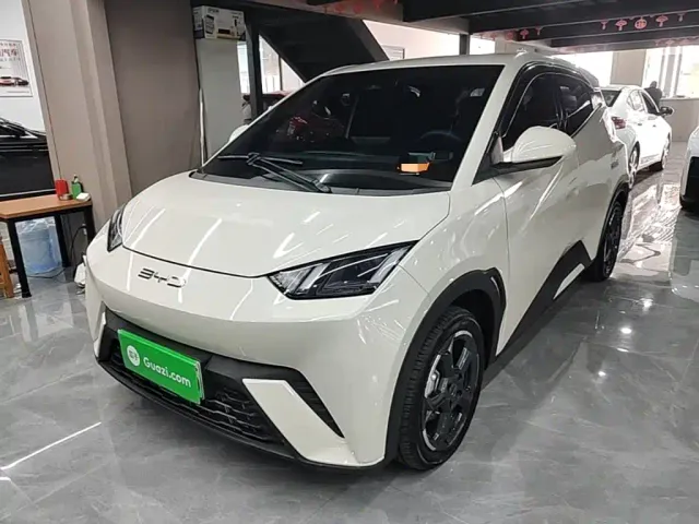 Фотография автомобиля — BYD Seagull