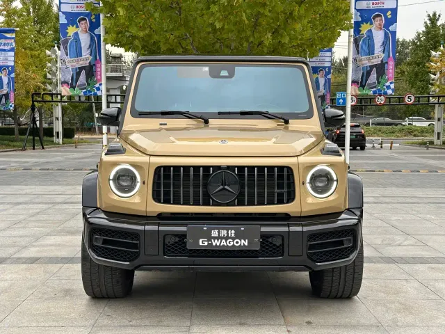 Mercedes-Benz G-Class AMG — Фото автомобиля 4