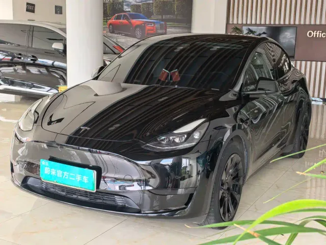 Tesla Model Y — Фото автомобиля 2