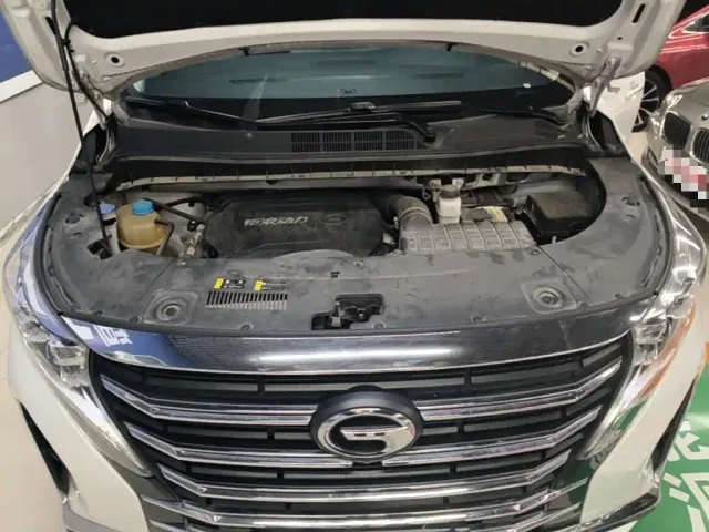 GAC Trumpchi M8 — Фото автомобиля 19