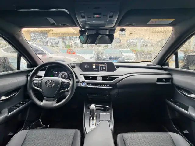 Lexus Lexus UX Electric 2020 300e Pure Enjoyment Edition — Фото автомобиля 8
