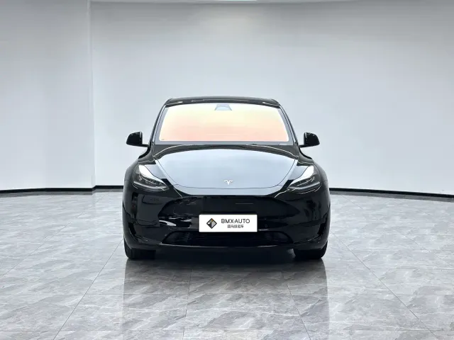 Tesla Model Y — Фото автомобиля 2
