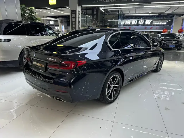 BMW 5 Series — Фото автомобиля 23