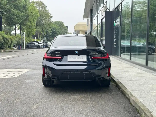 BMW 3 Series — Фото автомобиля 6