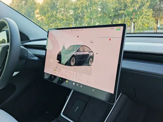Tesla Model Y 2025 Model Long Range All-Wheel Drive Launch Edition — Фото автомобиля 10