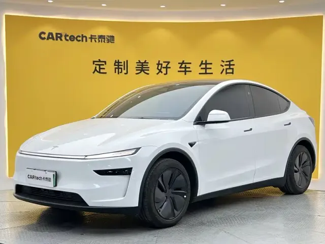 Tesla Model Y — Фото автомобиля 12