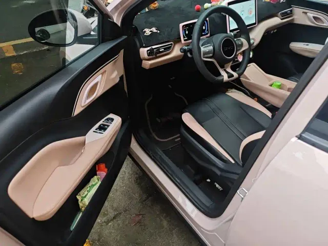 BYD Seagull — Фото автомобиля 12