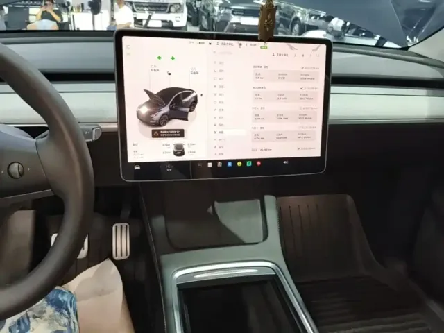 Tesla Model Y — Фото автомобиля 12