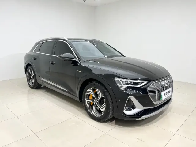 Audi e-tron — Фото автомобиля 3