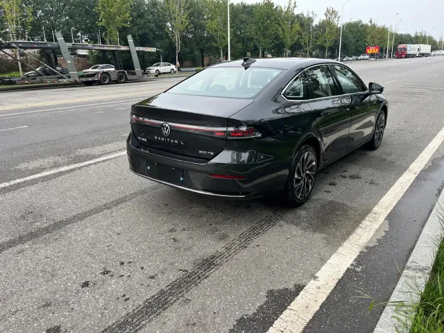 Volkswagen Sagitar — Фото автомобиля 20