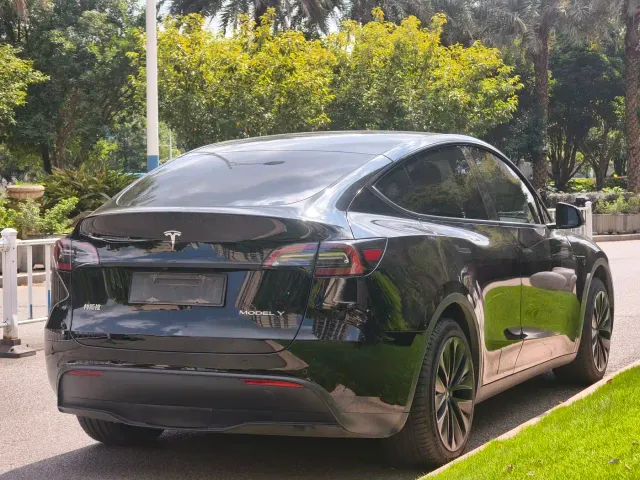 Tesla Model Y — Фото автомобиля 7