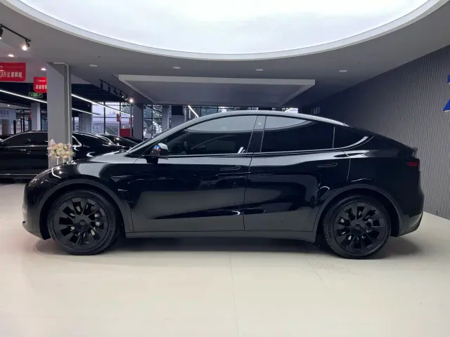 Tesla Model Y — Фото автомобиля 3