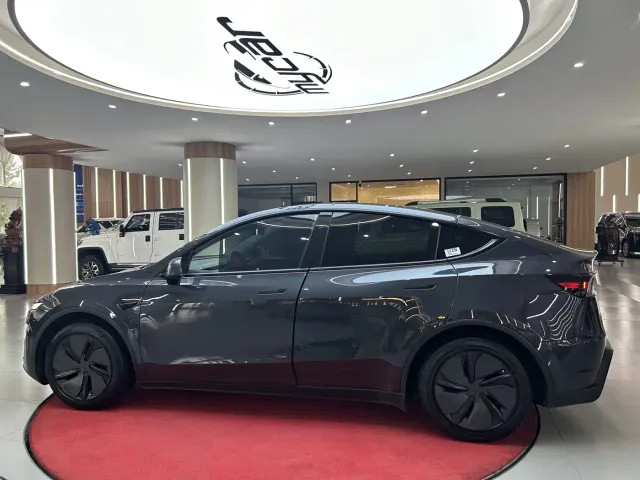 Tesla Model Y — Фото автомобиля 8