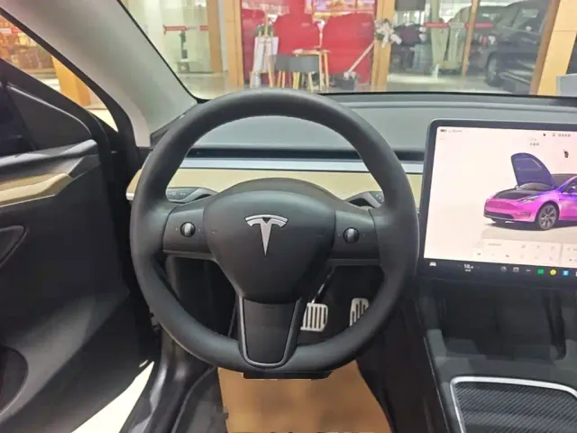 Tesla Model Y — Фото автомобиля 10