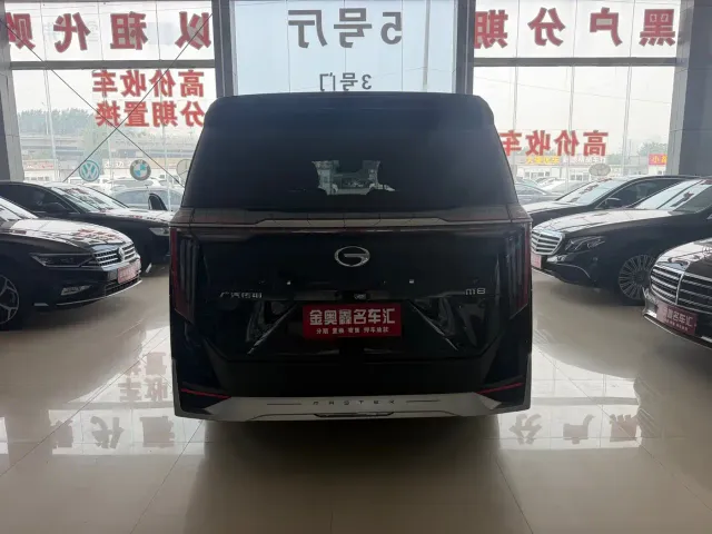 GAC Trumpchi M8 — Фото автомобиля 16