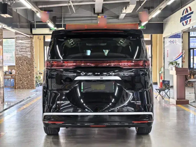 Denza D9 — Фото автомобиля 2