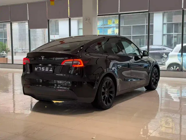 Tesla Model Y — Фото автомобиля 9