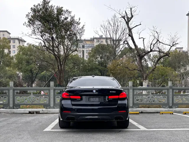 BMW 5 Series — Фото автомобиля 5