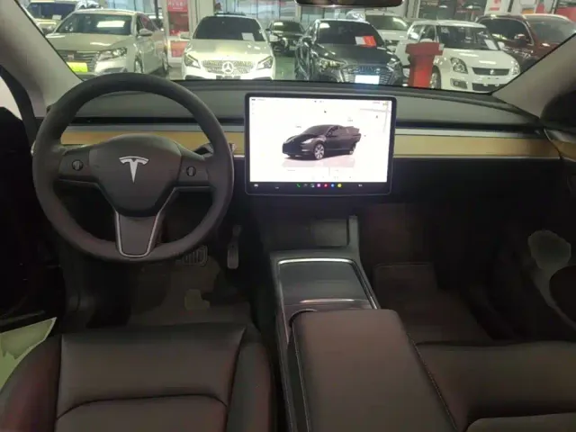 Tesla Model Y — Фото автомобиля 9