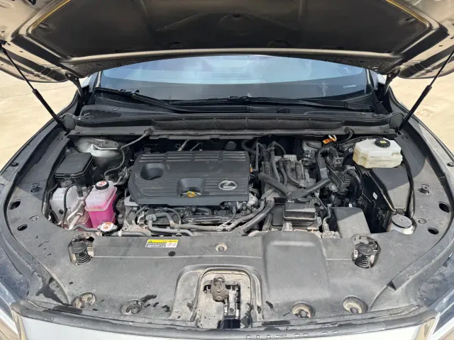 Lexus RX — Фото автомобиля 20