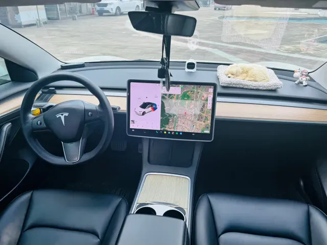 Tesla Model 3 — Фото автомобиля 7