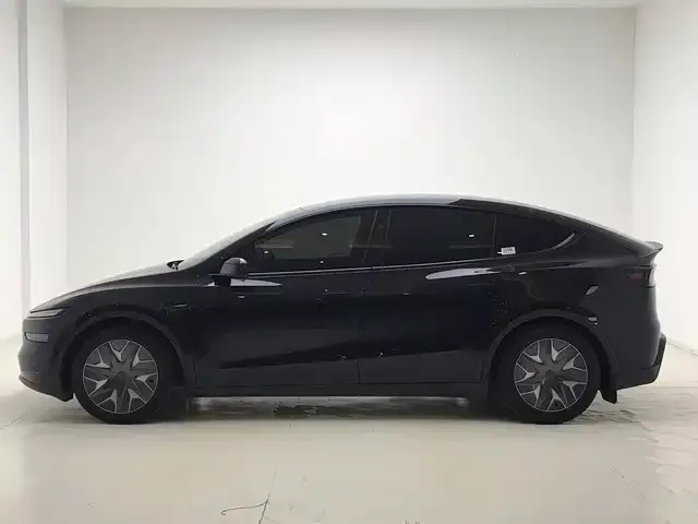 Tesla Model Y L — Фото автомобиля 4